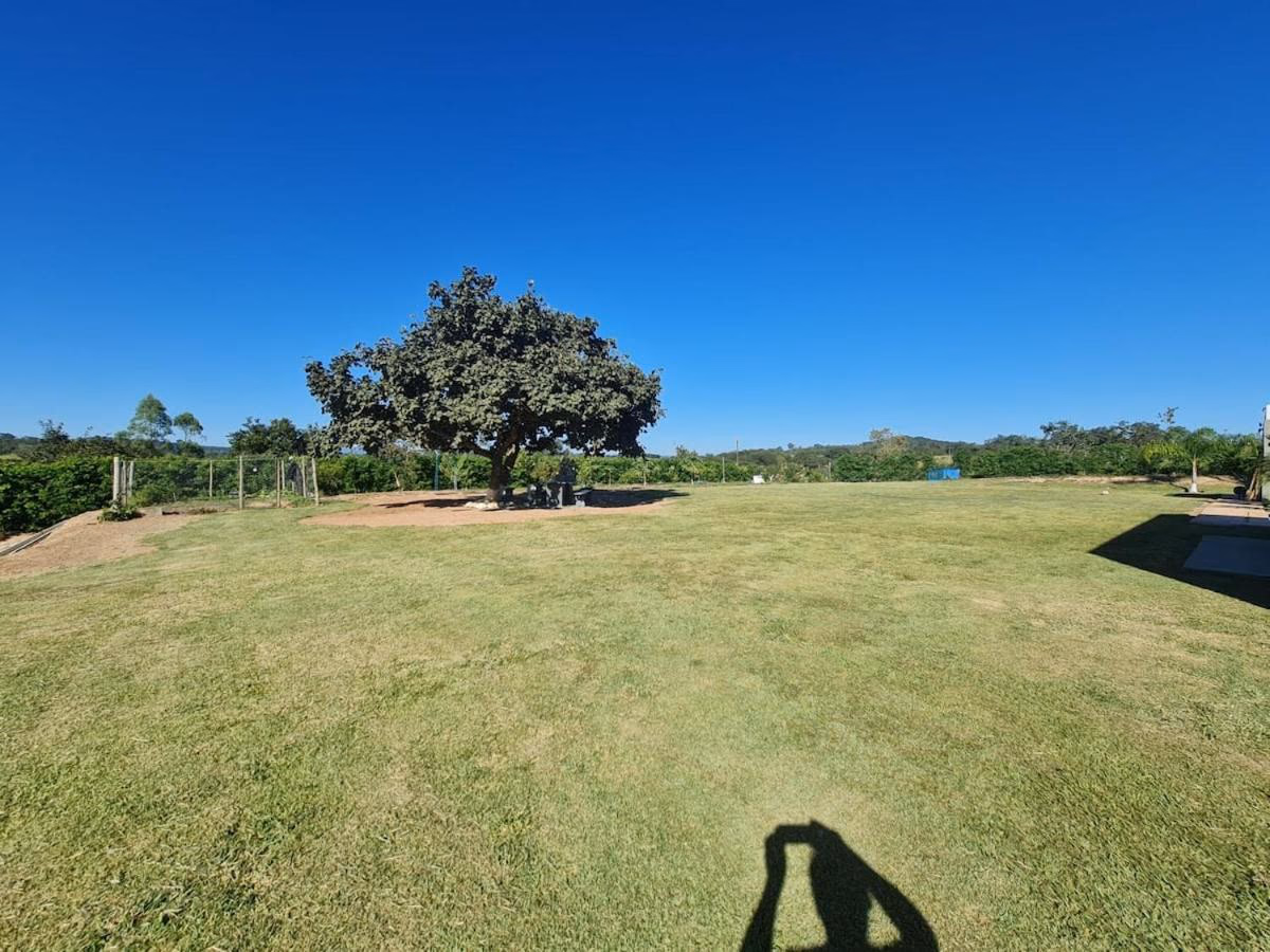 Gramado extenso com árvore isolada e serra ao fundo